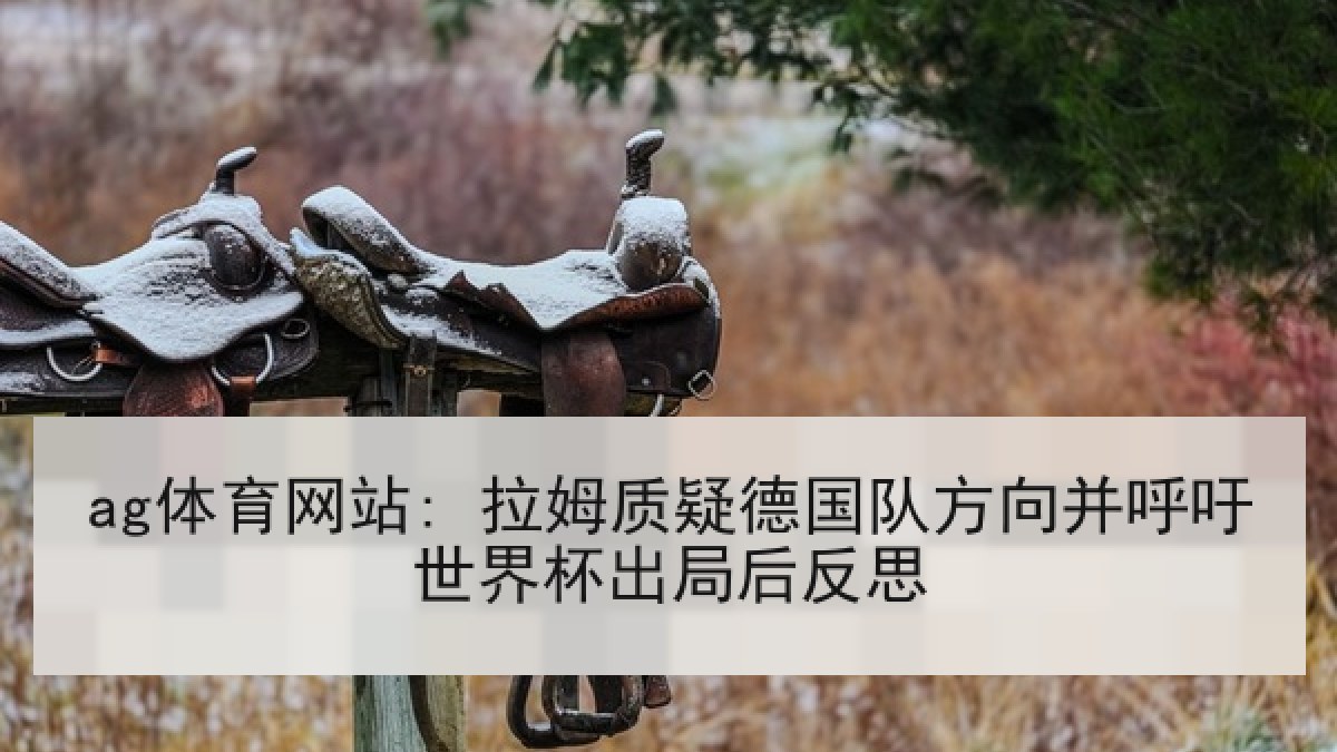 ag体育网站: 拉姆质疑德国队方向并呼吁世界杯出局后反思