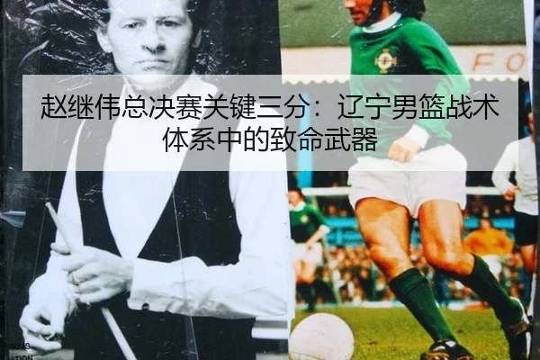 zhao-ji-wei-zong-jue-sai-guan-jian-san-fen-liao-ning-nan-lan-zhan-shu-ti-xi-zhong-de-zhi-ming-wu-qi-3-807.jpg